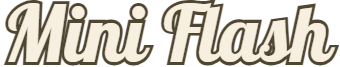 Mini Flash